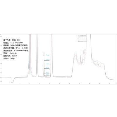 RPIC-2017 ion chromatograph is used to detect bromate in drinking water